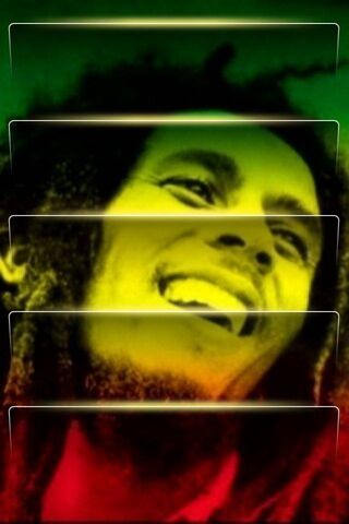 Vibes of Reggae: The Bo..