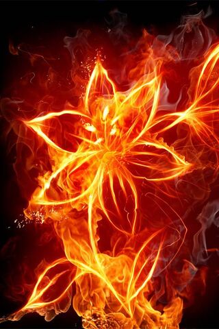 Ateş Çiçeği