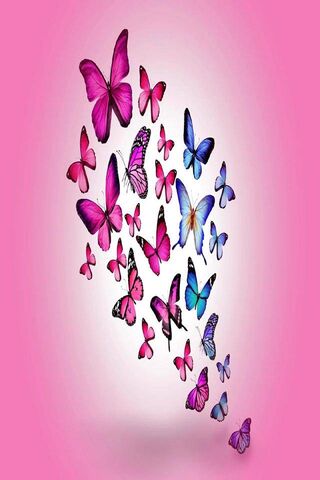 Whimsical Wings: A Dance of Colors