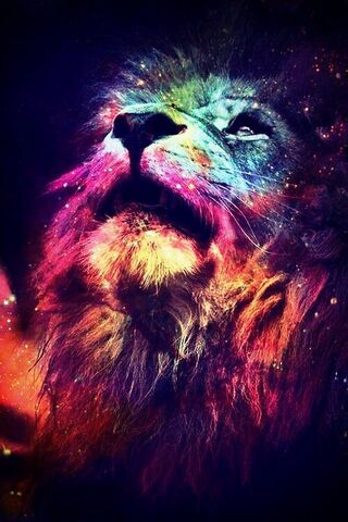 Lion Abstract