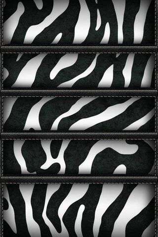 Stripes of Style: The Z..