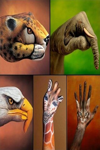 حيوانات فن الجسد