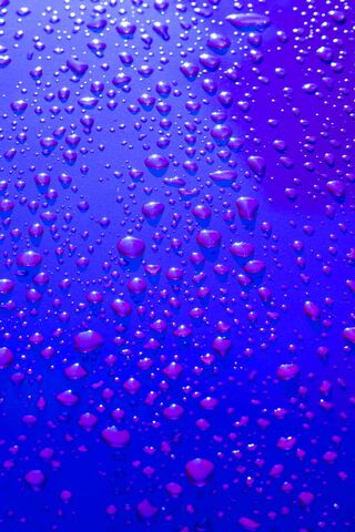 Nature's Tiny Gems: The..