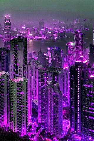 Purple Hong Kong