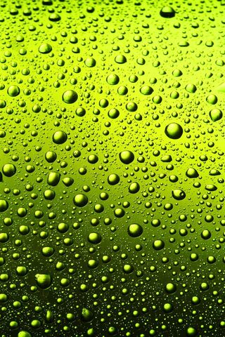 Lime Drops