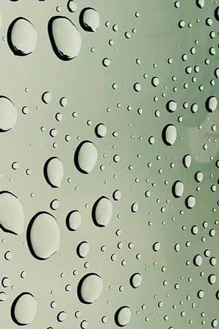 Nature's Crystal Orbs: The Beauty of Water Drops