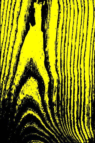 Whispers of the Yellow Wood 🌳✨