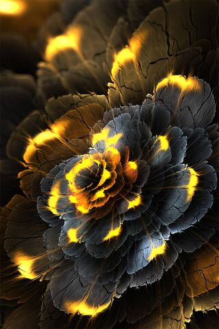 Black-Yellow Flower