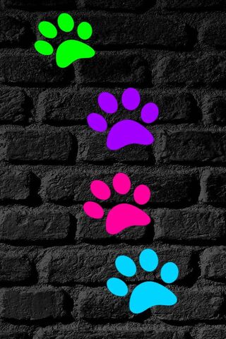 Free black and white paw print iPhone wallpaper This design is available  for iPhone 5 through iPhone X Get   Iphone prints Paw wallpaper  Wallpaper iphone cute