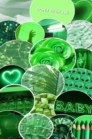 Emerald Dreams: A Green Wonderland 🌿✨