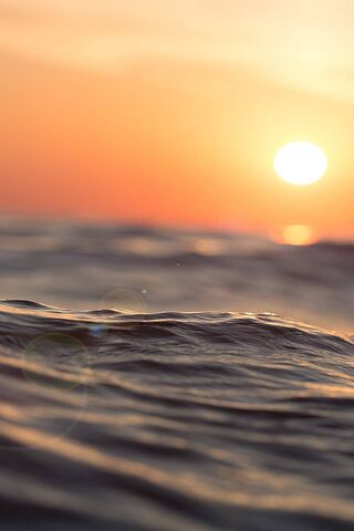 Golden Horizons: A Suns..