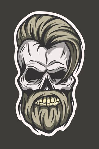 The Stylish Skull: A Bo..