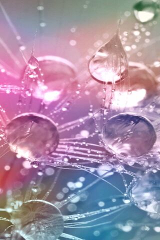 Nature's Tiny Gems: The..