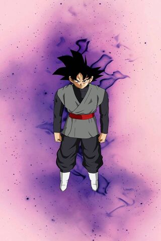 The Dark Warrior: Goku ..