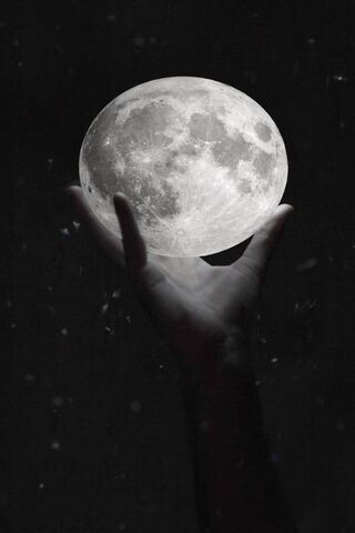 Moon