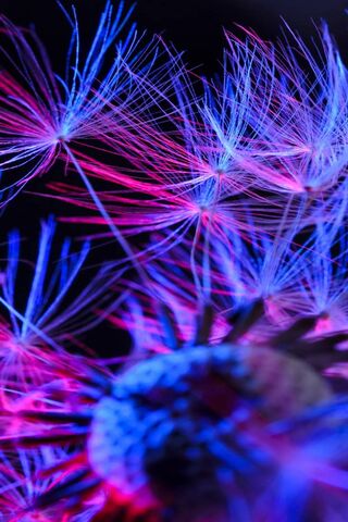 Electric Dreams: A Dance of Light
