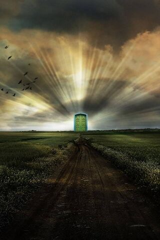 Whispers of Enchantment..