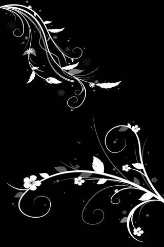 Shades of Black: A Jour..