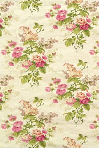 Blooming Beauty: A Floral Delight 🌸✨