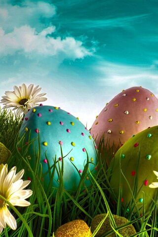Colorful Surprises: The..