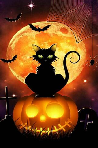 Halloween Cat Wallpaper - Download to your mobile from PHONEKY