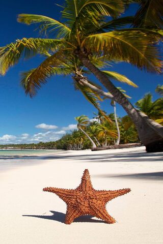 Sandy Shores and Sunny ..