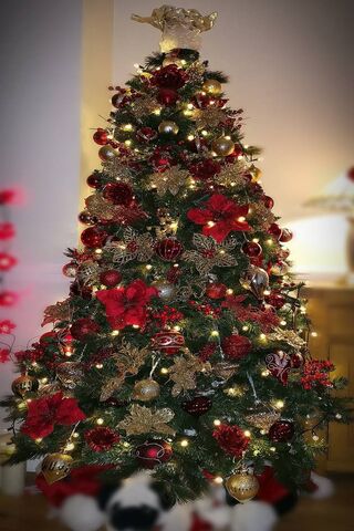 Festive Elegance: A Chr..