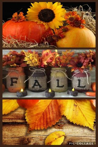 Autumn's Embrace 🍂🎃