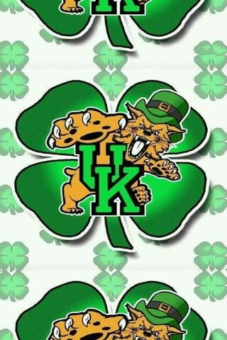 Lucky Wildcats Unite! 🍀🐾