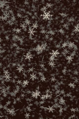 Whispers of Winter: A S..