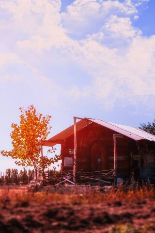 Charming Retreat: The Story of Kucuk Ev 🏡✨
