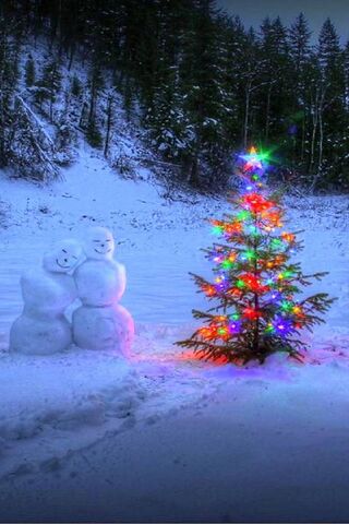 Charming Winter Delight..