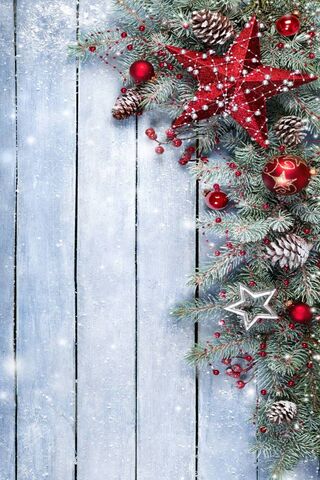Festive Cheer: A Holida..