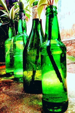 Bottiglie Greeny