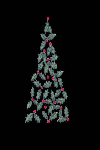 Festive Holly Wonderlan..