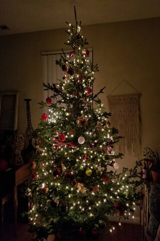 Twinkling Holiday Cheer..