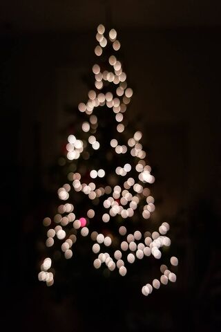 Twinkling Holiday Magic..