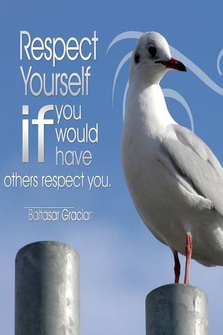 Words to Live By: Inspi..