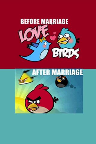 الحب مقابل الطيور الغاضبة