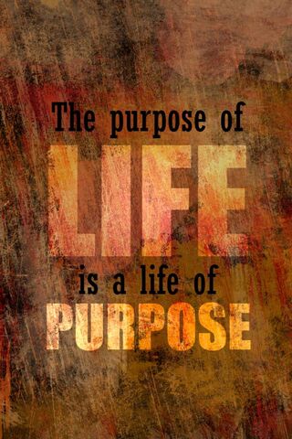 Journey to Self-Discovery 🌟