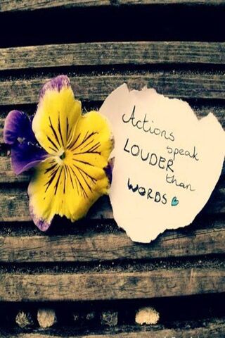 Wisdom in Simplicity: True Sayings Unveiled