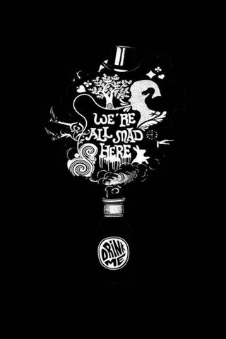 Embrace the Madness: A Journey Down the Rabbit Hole 🐇✨