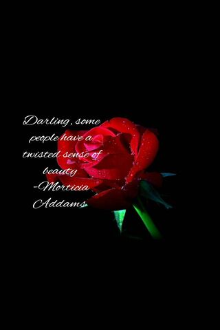 A Twisted Beauty 🌹