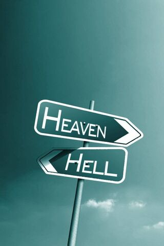 Navigating Life's Choices 🌟