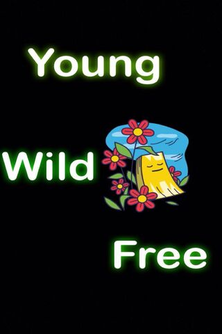 Youngcwild Kc