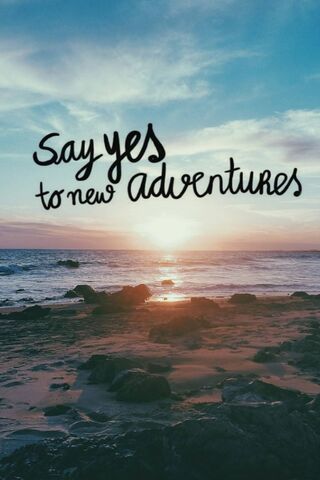 Say Yes Adventures