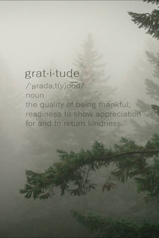Gratitude  Wallpaper  HD Wallpapers  WallHere