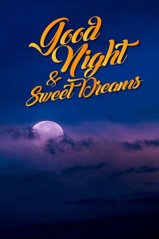 Dreamy Night Vibes 🌙✨