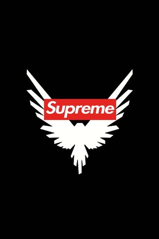 Soaring High: The Supre..