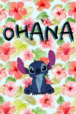 Browse thousands of Ohana images for design inspiration  Dribbble